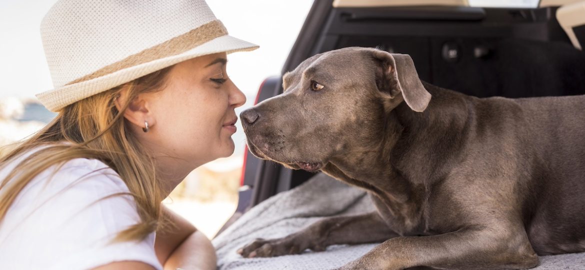 Isola d'Elba con il cane