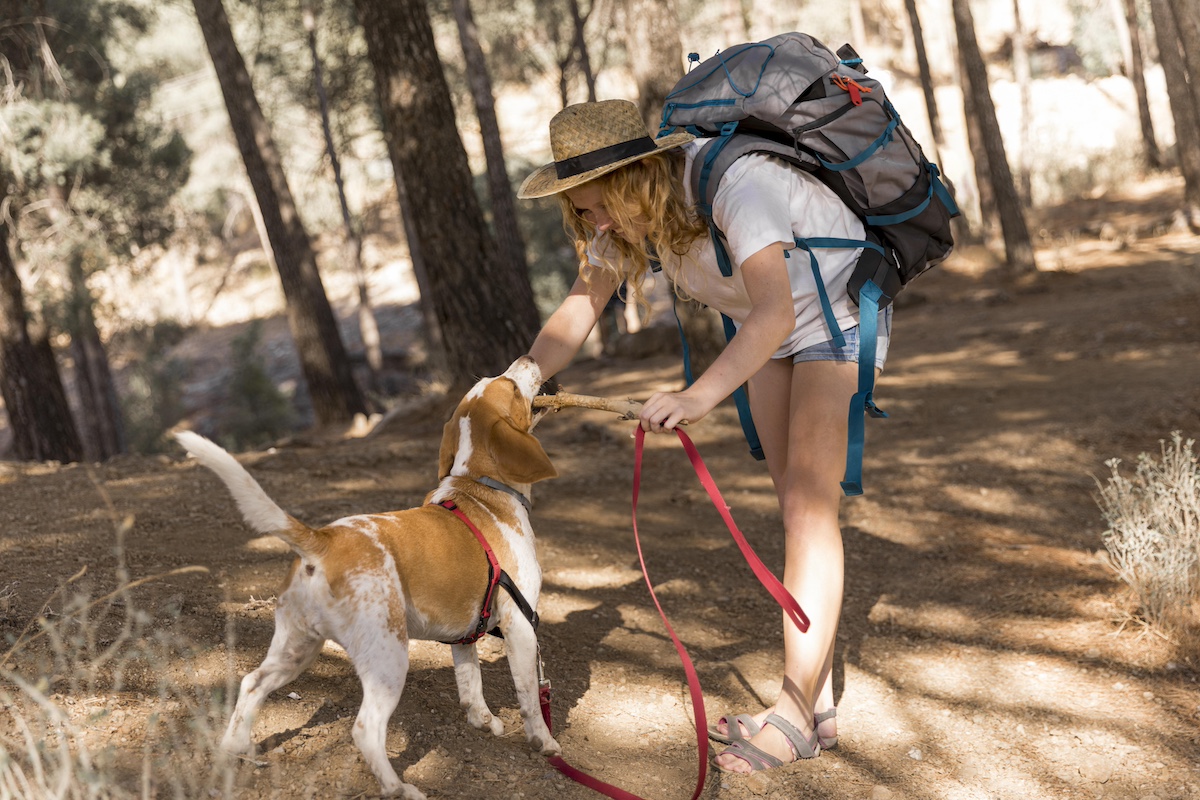 Trekking con il cane