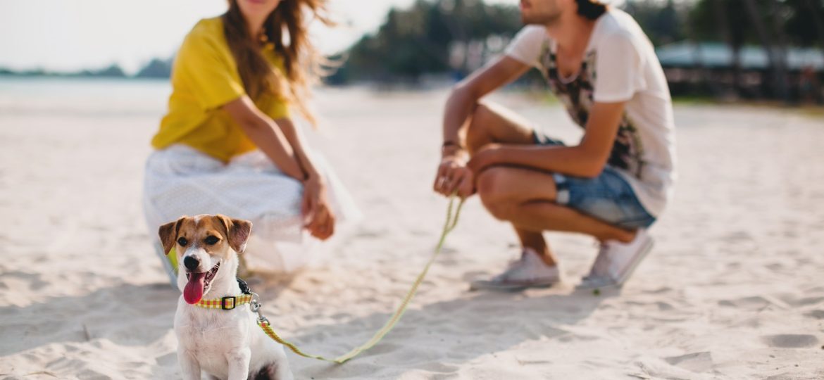 Spiaggia Fetovaia e cani