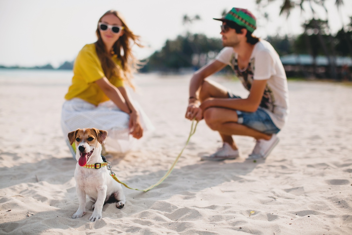 Spiaggia Fetovaia e cani
