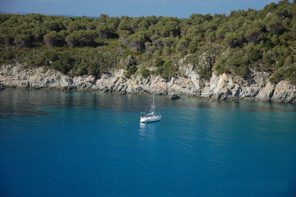 Spiaggia di Fetovaia