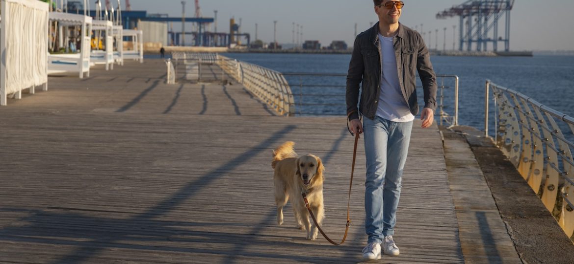 Traghetto con il cane