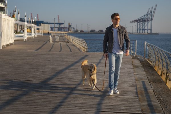 Traghetto con il cane