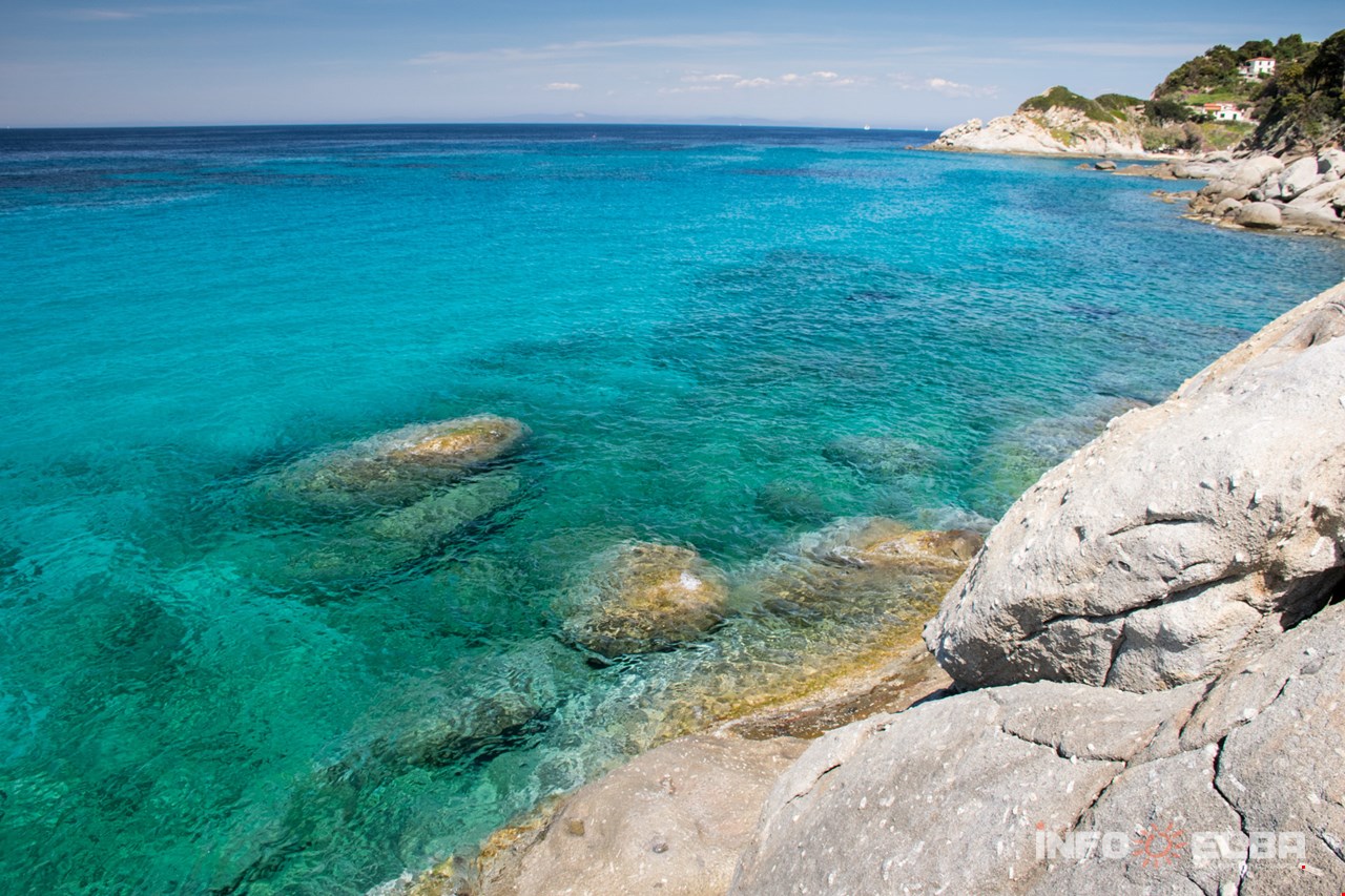 cotoncello tra le spiagge di marciana, le acque piu cristalline